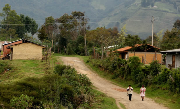 <strong>Programa «GooDoc para todos»</strong>
